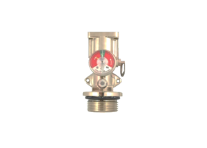 BFR-VLV conjunto completo de válvula Buckeye